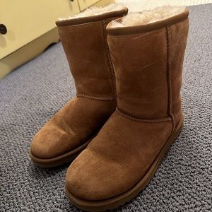 Classic Chestnut Uggs